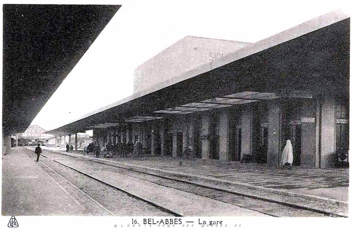 Sidi bel abbes 604.jpg